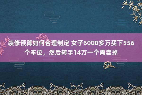 装修预算如何合理制定 女子6000多万买下556个车位，然后转手14万一个再卖掉