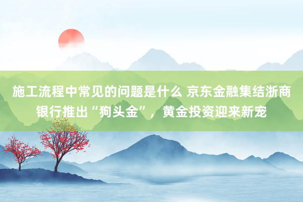 施工流程中常见的问题是什么 京东金融集结浙商银行推出“狗头金”，黄金投资迎来新宠