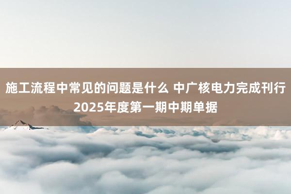 施工流程中常见的问题是什么 中广核电力完成刊行2025年度第一期中期单据