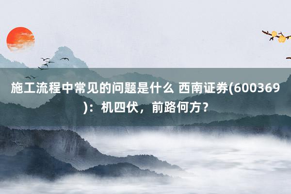 施工流程中常见的问题是什么 西南证券(600369)：机四伏，前路何方？